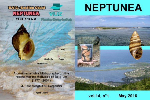 ‘Neptunea’ | Neptunea