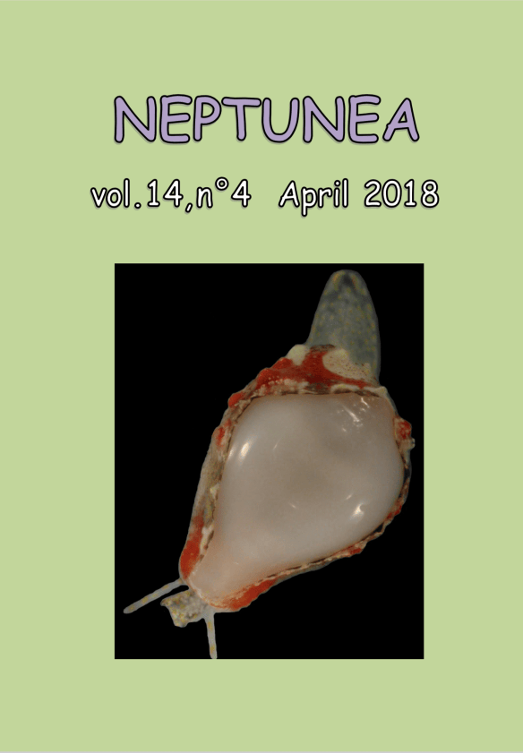 ‘Neptunea’ | Neptunea