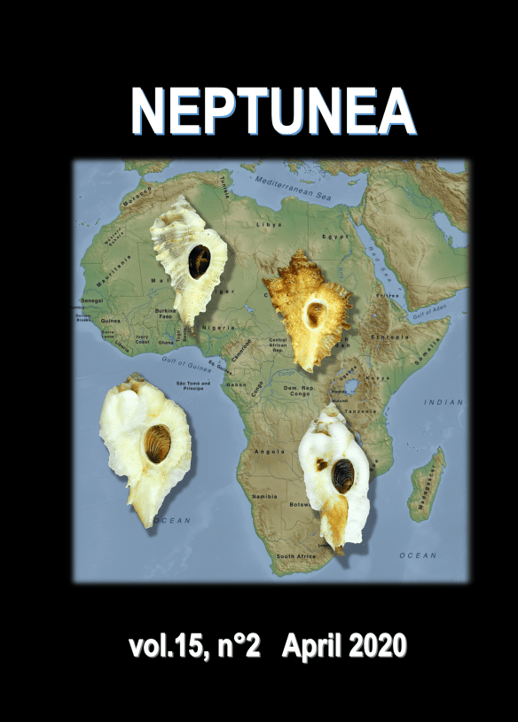 ‘Neptunea’ | Neptunea