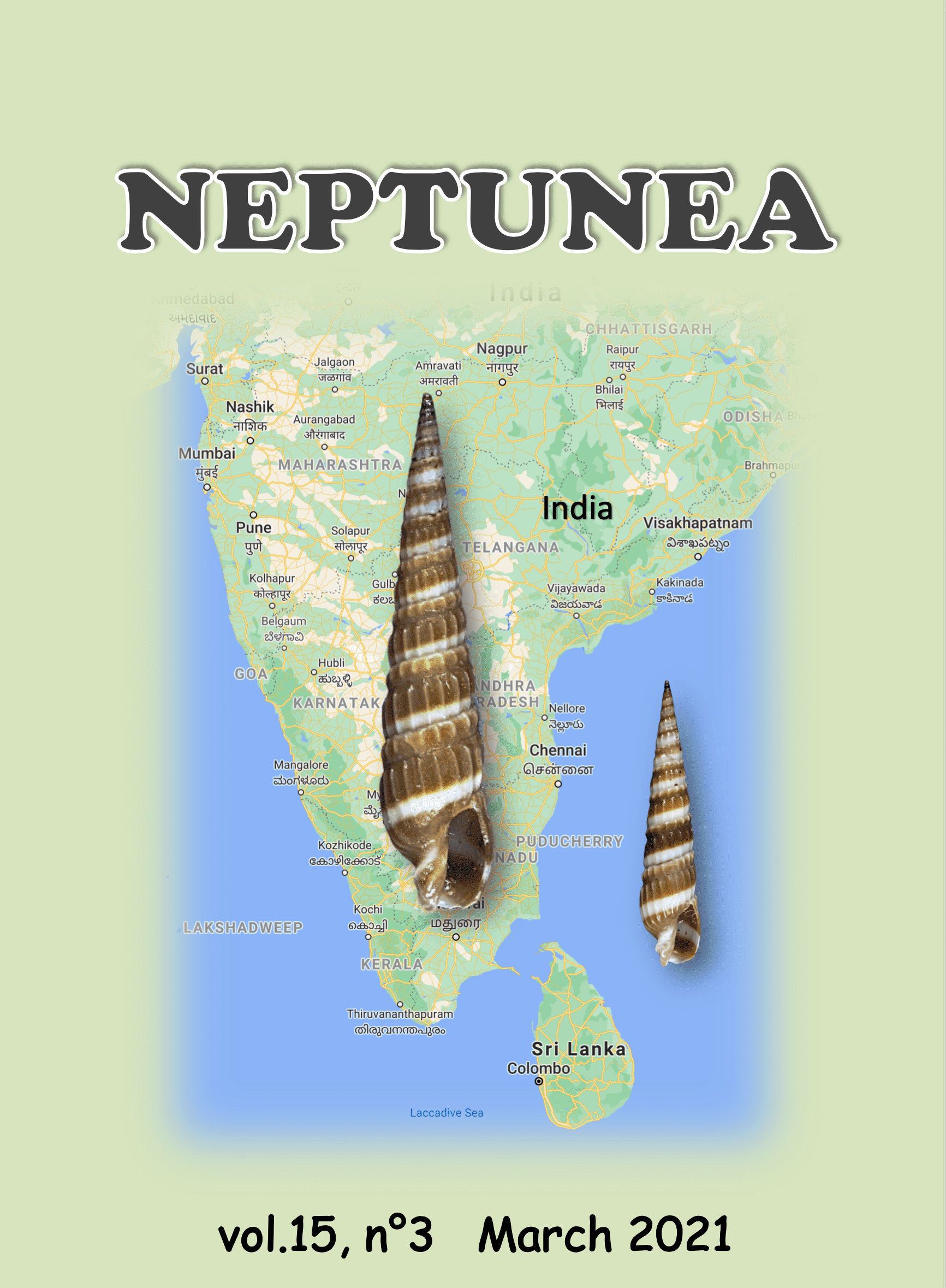 ‘Neptunea’ | Neptunea