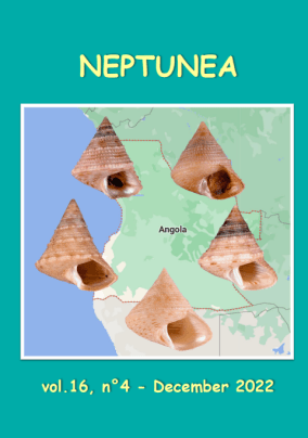 Schermafbeelding 2023-04-02 135134