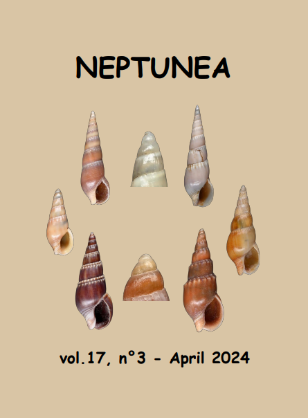Neptunea 17(3) | Neptunea